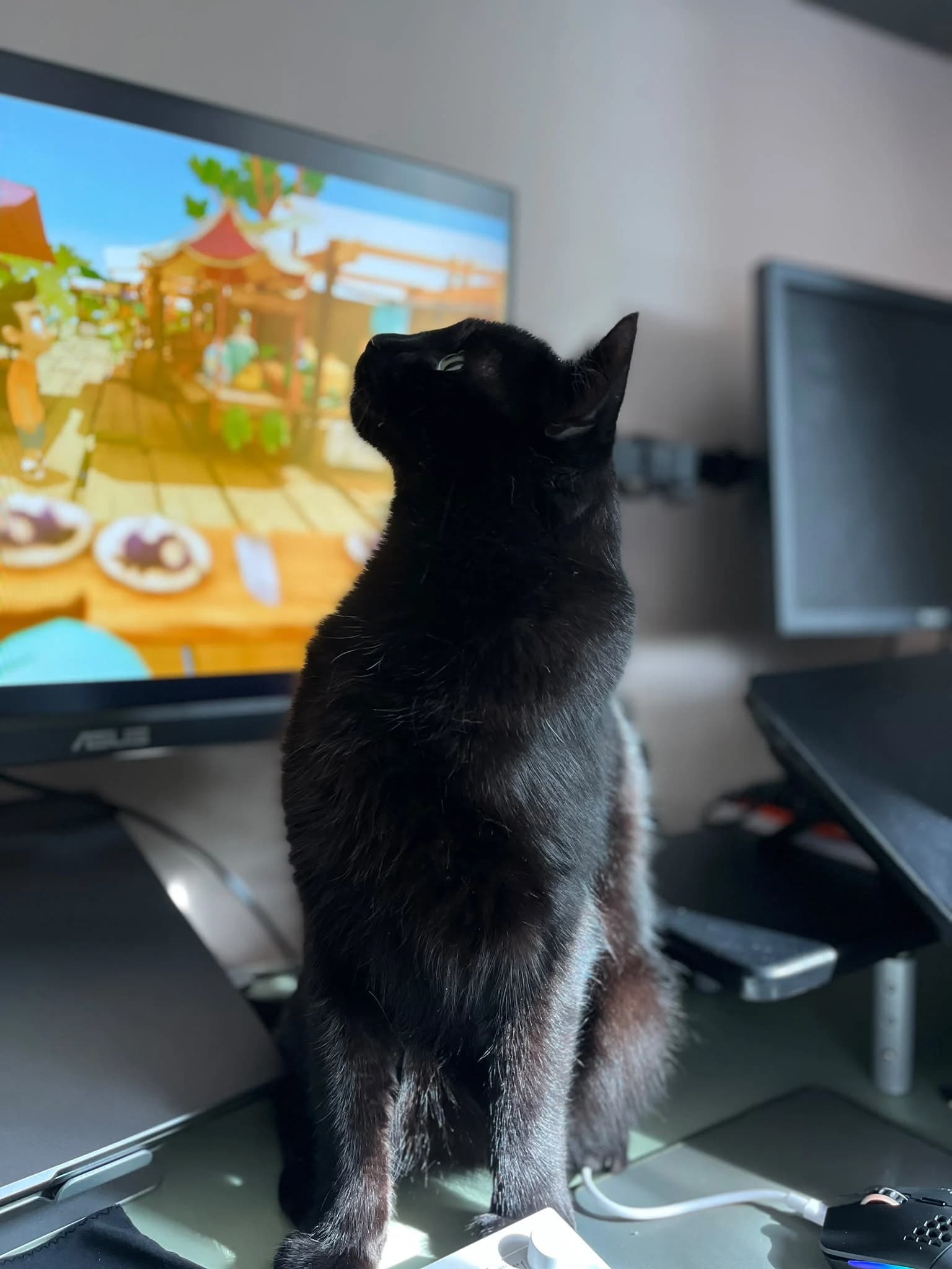 Original photo of Chuck, a black cat looking upward beside a computer