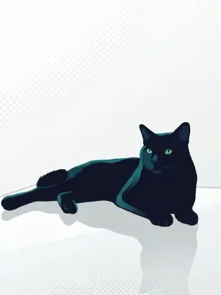Black cat reclining in a clean white Pop Art studio portrait with teal shadows