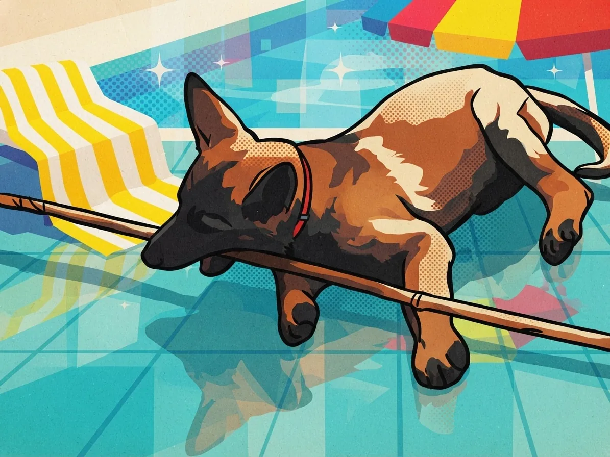 German Shepherd rendered in bright Pop Art beside a swimming pool