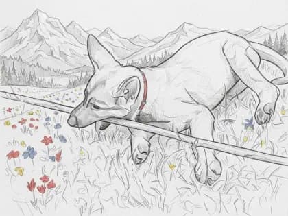 Young German Shepherd with a stick drawn in graphite among mountain wildflowers