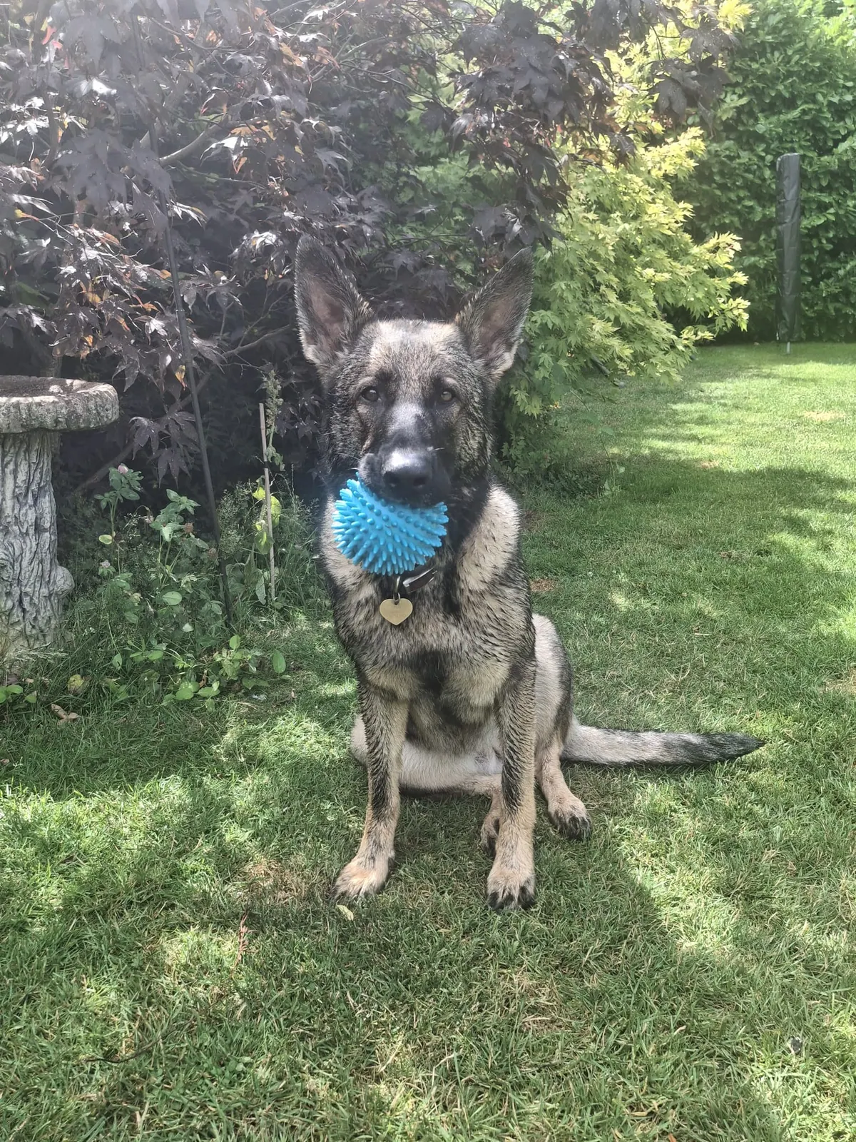 Original full-body photo of Eve sitting on grass with a blue ball
